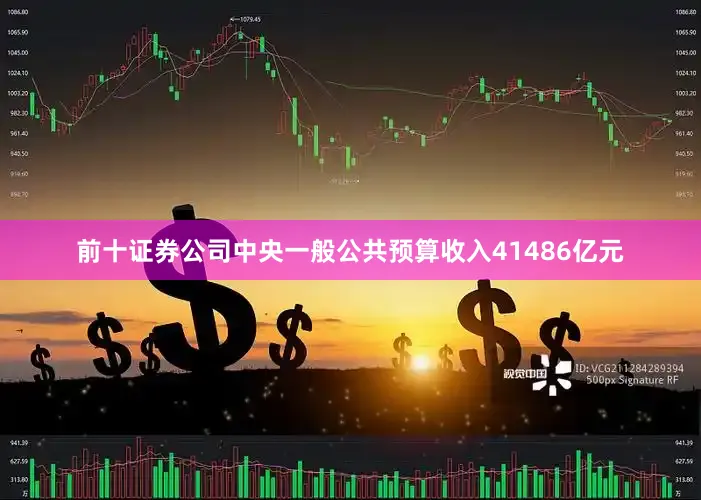 前十证券公司中央一般公共预算收入41486亿元