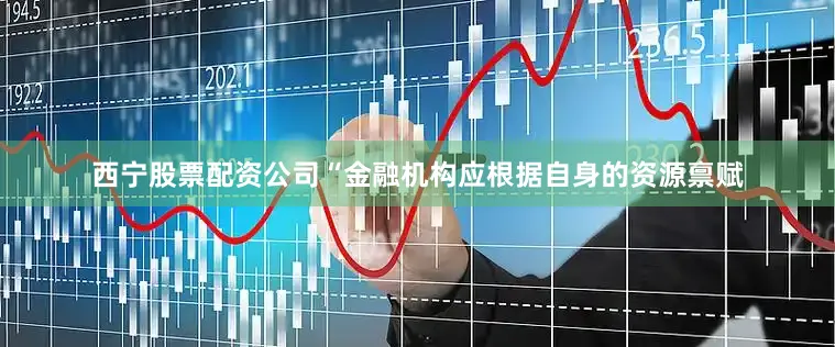 西宁股票配资公司“金融机构应根据自身的资源禀赋