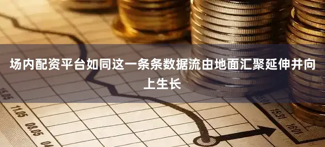 场内配资平台如同这一条条数据流由地面汇聚延伸并向上生长